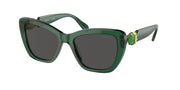 Swarovski SK6018 Transparent Dark Green Sunglasses