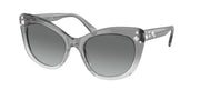 Swarovski SK6020 Transparent Dark Grey Sunglasses