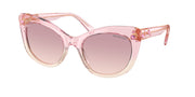 Swarovski SK6020 Transparent Pink Sunglasses
