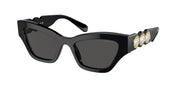 Swarovski SK6021F Black Sunglasses