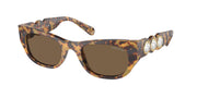 Swarovski SK6022F Medium Havana Sunglasses