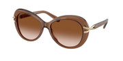 Swarovski SK6026 Transparent Brown Sunglasses