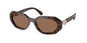 Swarovski SK6028 Dark Havana Sunglasses
