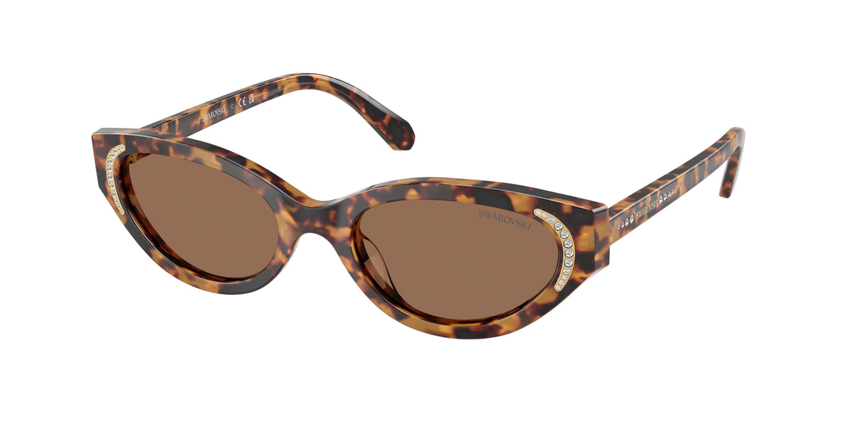 Swarovski SK6030F Havana Medio Sunglasses