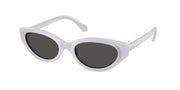 Swarovski SK6030 Light Grey Sunglasses