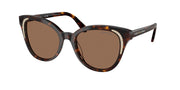 Swarovski SK6031 Dark Havana Sunglasses