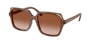 Swarovski SK6034D Transparent Brown Sunglasses