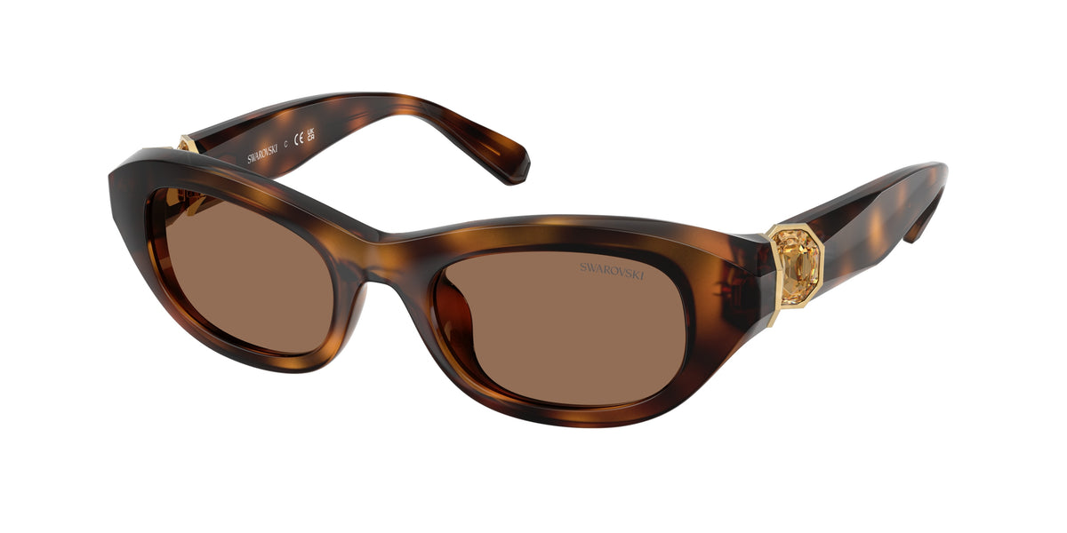 Swarovski SK6036U Havana Sunglasses