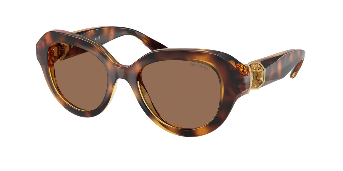 Swarovski SK6037F Havana Sunglasses