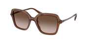 Swarovski SK6040 Transparent Brown Sunglasses