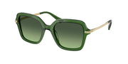 Swarovski SK6040 Transparent Dark Green Sunglasses