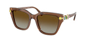 Swarovski SK6041 Transparent Brown Sunglasses