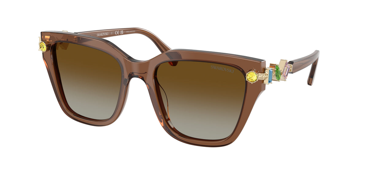 Swarovski SK6041 Transparent Brown Sunglasses