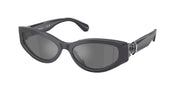 Swarovski SK6045U Dark Grey Sunglasses