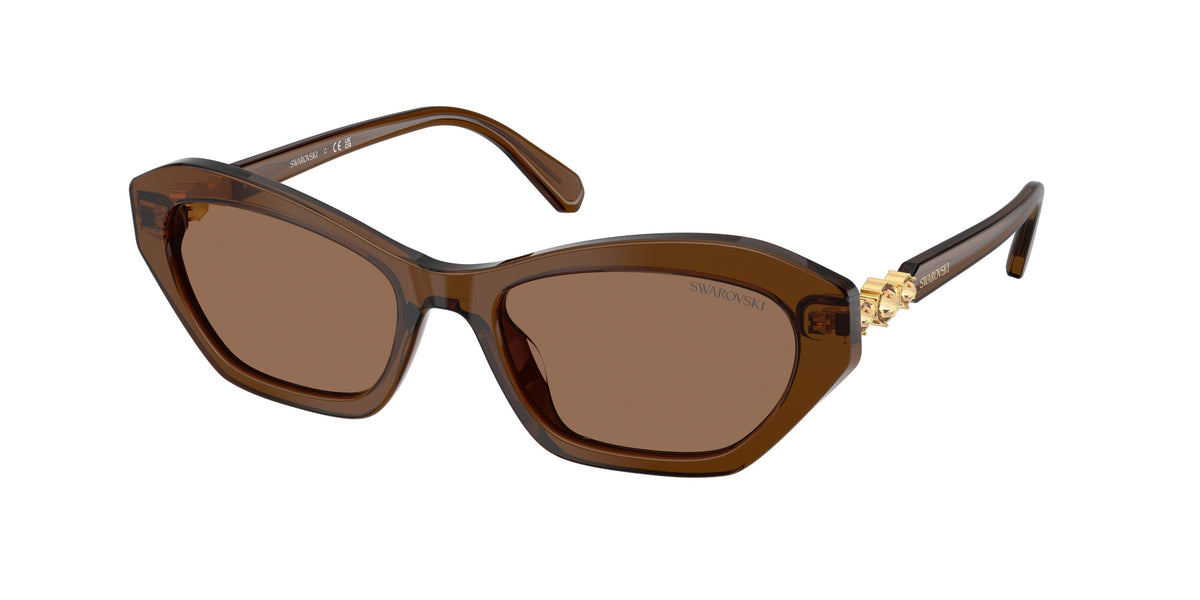 Swarovski SK6048F Transparent Brown Sunglasses