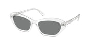Swarovski SK6048 Transparent Sunglasses