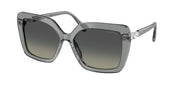 Swarovski SK6049 Transparent Grey Sunglasses