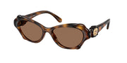 Swarovski SK6050 Havana Sunglasses
