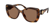 Swarovski SK6051U Havana Sunglasses