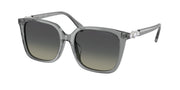 Swarovski SK6053D Transparent Grey Sunglasses