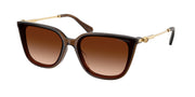 Swarovski SK6054D Transparent Brown Sunglasses