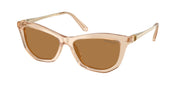 Swarovski SK6057 Transparent Beige Sunglasses
