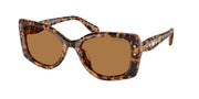 Swarovski SK6058U Light Havana Sunglasses