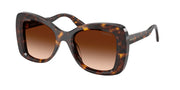 Swarovski SK6062U Havana Sunglasses