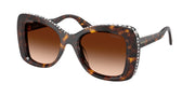 Swarovski SK6062U Havana Sunglasses