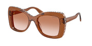 Swarovski SK6062U Transparent Brown Sunglasses