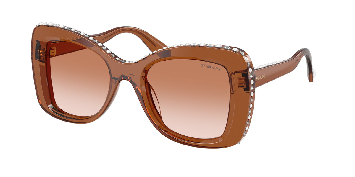 Swarovski SK6062U Transparent Brown Sunglasses