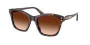 Swarovski SK6063F Havana Sunglasses