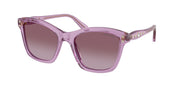 Swarovski SK6063F Transparent Amethyst Sunglasses