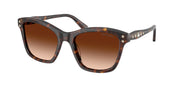 Swarovski SK6063 Havana Sunglasses