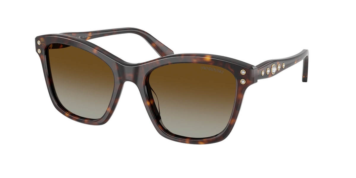 Swarovski SK6063 Havana Sunglasses