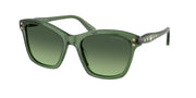 Swarovski SK6063 Transparent Green Sunglasses