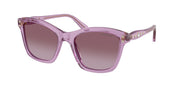 Swarovski SK6063 Transparent Amethyst Sunglasses