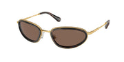 Swarovski SK7004 Gold/Black Sunglasses
