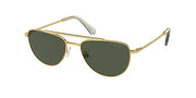 Swarovski SK7007 Gold Sunglasses