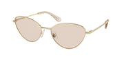 Swarovski SK7014 Pale Gold Sunglasses