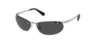 Swarovski SK7019 Matte Silver Sunglasses