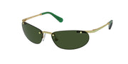 Swarovski SK7019 Matte Gold Sunglasses