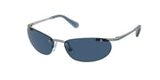 Swarovski SK7019 Matte Silver Sunglasses