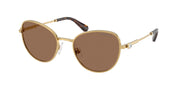 Swarovski SK7032 Gold Sunglasses