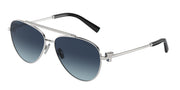 Tiffany & Co. TF3101B Silver Sunglasses