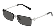 Tiffany & Co. TF3108B Silver Sunglasses