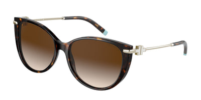 Tiffany & Co. TF4178F Sunglasses