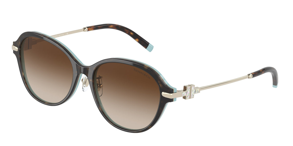 Tiffany & Co. TF4188D Havana On Tiffany Blue Sunglasses