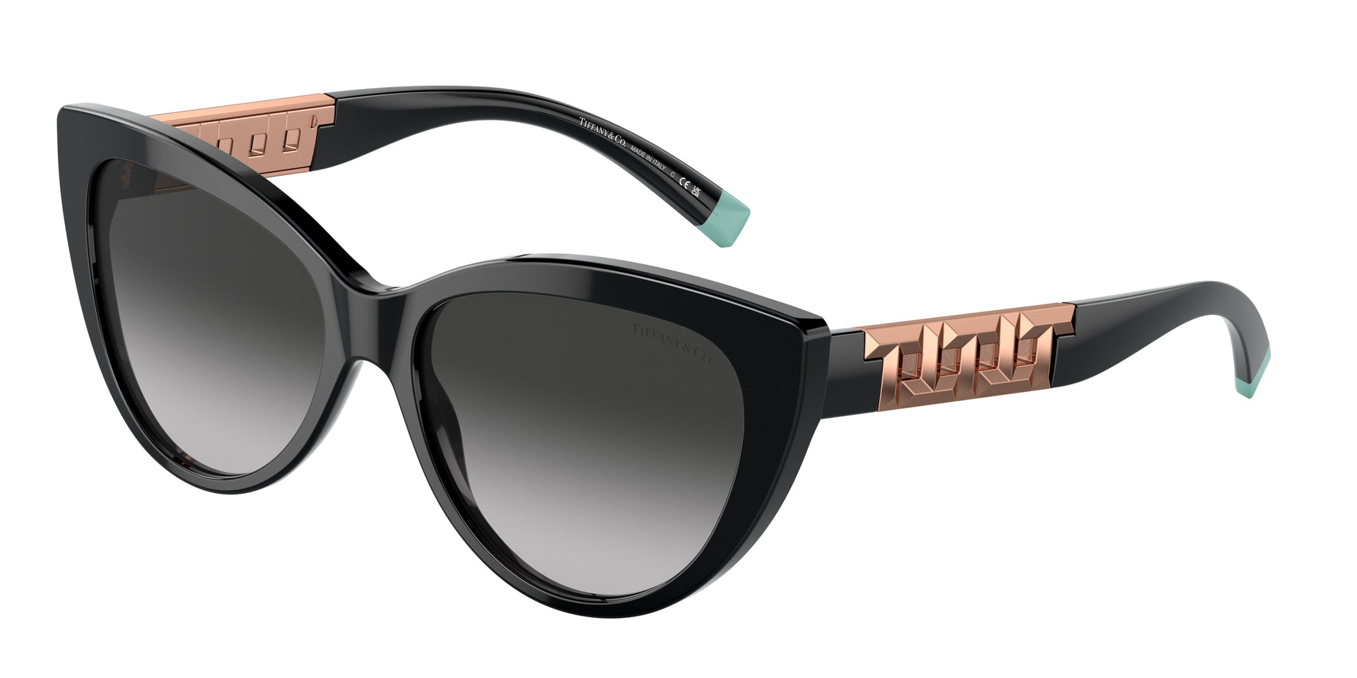 Tiffany & Co. TF4196 Black Sunglasses