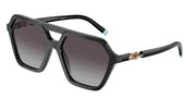 Tiffany & Co. TF4198 Black Sunglasses